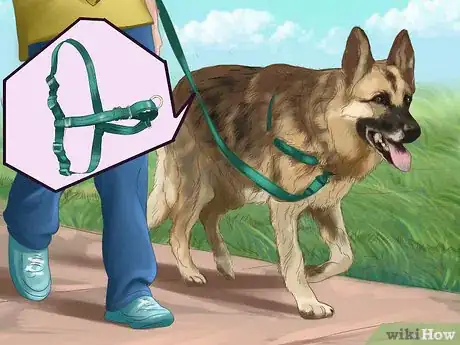 Image titled Teach Your Dog "On By" Step 1